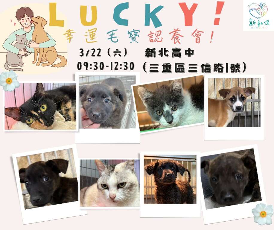 LUCKY!幸運毛寶認養會