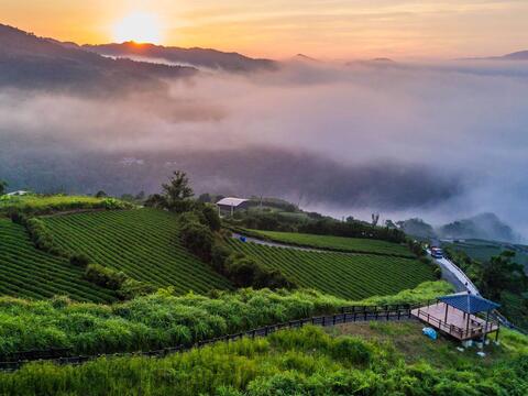 Taiwan's tea township has become internationally famous! Pinglin District of New Taipei City is enlisted in the 2018 Top 100 Global Green Destinations.