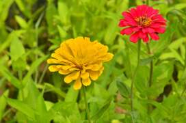 花漾八里圖意
