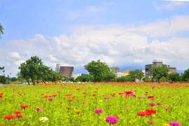 花漾八里圖意
