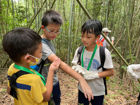 實際走入「微笑山線」認識山林之美，透過大自然培養孩子的洞察力，也讓小朋友們親近生態 (活動資料照)