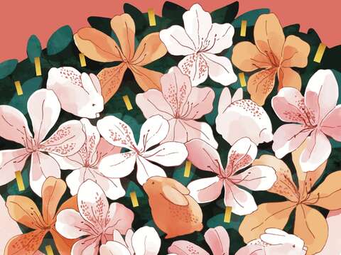 萬金杜鵑花展