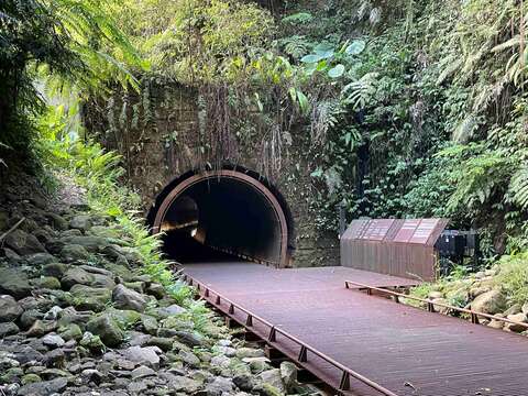 三貂岭生态友善隧道因没有人为干扰，形成充满生命力的垂直湿地