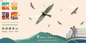 觀音觀鷹