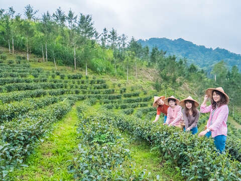 邀請民眾來新北看水舞、賞花季、品好茶、逛市集、拍美照