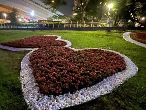 以鵝卵石及秋海棠排列愛心造型，襯托碧潭夜色，成為碧潭打卡新亮點。