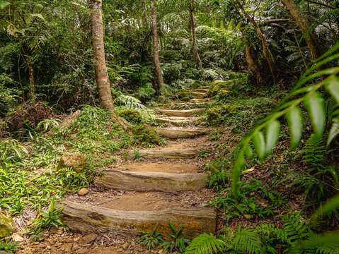 茶山古道是在地茶農的重要道路，也是遊客探訪深坑山林的重要景點。