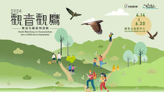 2024觀音觀鷹_圖片取自於2024觀音觀鷹官網