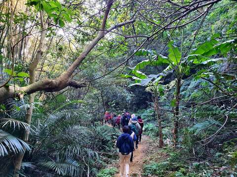 民眾行走在微笑山線大縱走旅遊路線大棟山系段