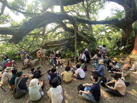 在微笑山線不僅健行也可在百年大榕樹結合山徑來場不一樣的音樂展演