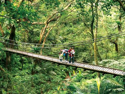 三峽擁有亞熱帶雨林植物寶窟及森林遊樂區等旅遊資源。