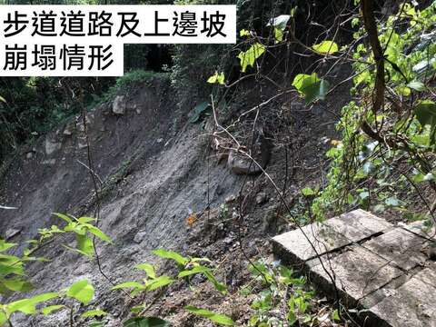 步道道路及上邊坡崩塌情形