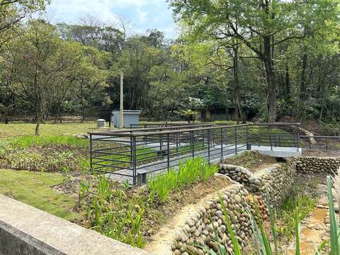 「新北市深坑石碇平溪微笑山線環境營造工程」為重現螢火蟲棲地，利用既有低窪池體，提供生長空間。