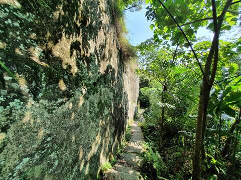 狮头山步道绿意盎然，林荫遮蔽，漫步其中清新舒适。