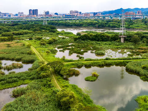 鹿角溪人工溼地作為新北市環境教育場所，提供專業濕地介紹以及周邊生態導覽，讓參加綠色旅遊的遊客也能與大自然共舞。