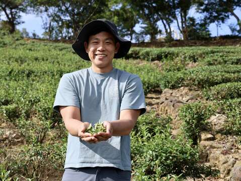 「有種茶」理事主席詹承得作為「新峯友茶」第五代主理人，帶領遊客於自家茶園親手採摘茶葉。