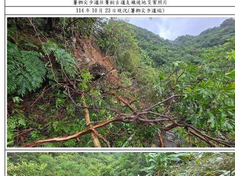平溪薯榔尖步道往菁桐古道支线步道坡地灾害禁止进入(薯榔尖步道)