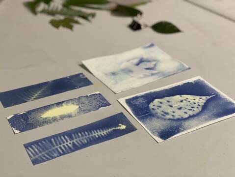 现场也有手作活动体验，将山林的各种素材变成富创造力的手作小物。