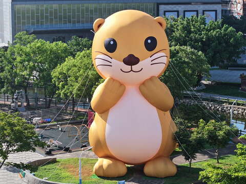 11月14日(五)至11月23日(日)期間，高達14公尺的金門觀光小天使—水獺「阿特」期間限定到訪新北歡樂耶誕城！（示意圖片由金門縣政府提供）