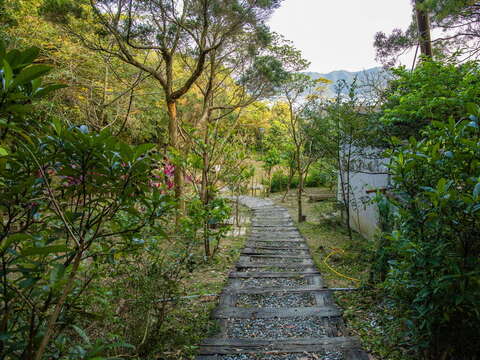 野柳里步道采用枕木结合碎石铺设工法，兼具排水与止滑功能，行走更为稳定安全。