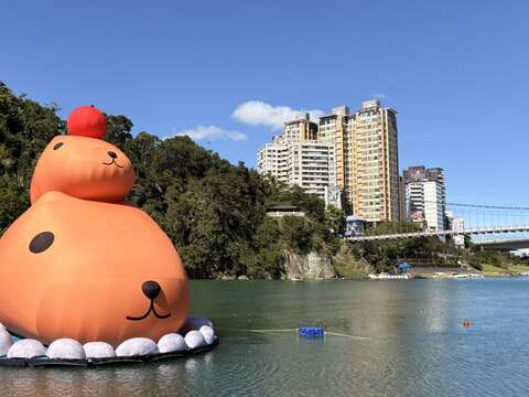 碧潭地景裝置展「呆在碧潭の水豚君」活動展期至12月28日，持續為新店碧潭風景區帶來超高人氣，已成為年末最療癒的打卡熱點。