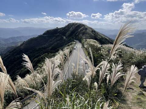 站在不厭亭眺望滿山芒花隨風搖曳，隨手一拍都是美景。
