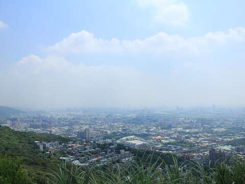 从青龙岭远眺，可俯瞰整个树林区的城市景观。
