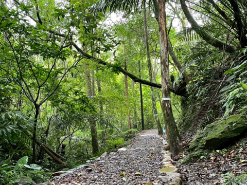 「新北市平溪嶺腳寮-望古觀瀑步道亮點環境營造計畫工程」採用低衝擊開發(LID)工法，打造碎石木屑舖面步道，分段逐層截流方式涵養水資源，減少土石流失與邊坡沖蝕風險。