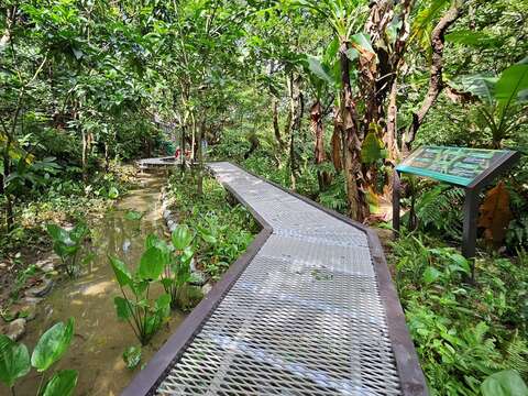 「新北市土城桐花公園景點營造工程」整理既有生態池棲地，建置生態觀察棧道，保留生物棲息空間。