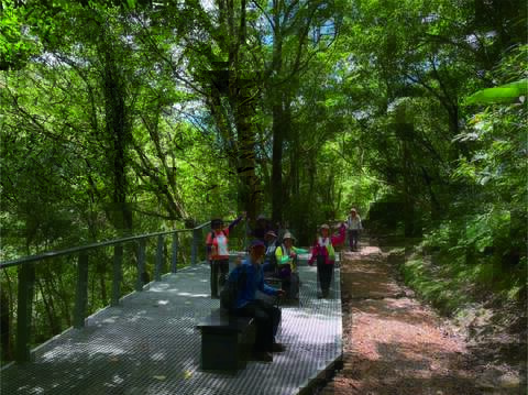 「新北市平溪嶺腳寮-望古觀瀑步道亮點環境營造計畫工程」結合既有喬木與透水耐候材質及菱形格網設計 保留生態並提升環境美感