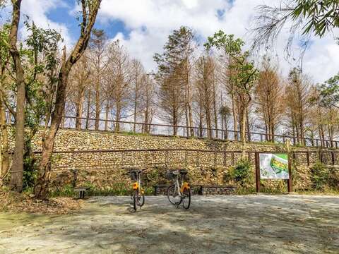 骑乘自行车至双溪牡丹落羽松秘境，感受休闲漫游之深度旅行(图为114年资料照)