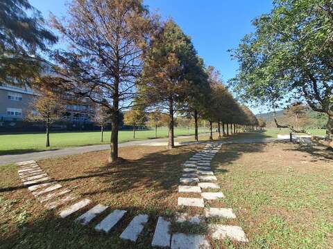 贡寮环保公园内开阔草地与林荫交织，营造出悠闲漫游氛围