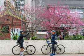 114年摄影比赛得奖照片-银牌_赏樱打卡_汐止区公所提供