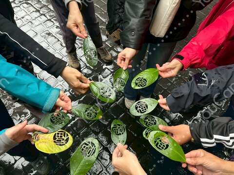 民众采集自然，手工制作祈福树叶