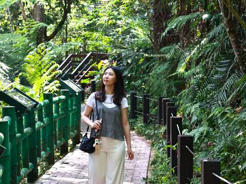 土城太极岭与桐花公园周边步道绿意环绕，适合春节期间阖家健行。