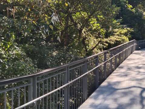 十分友善步道以平緩的坡道取代階梯，讓民眾能更輕易接觸大自然。