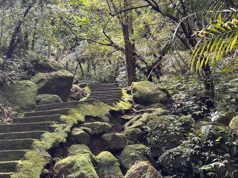走進孝子山步道，感受被層層綠意環繞的山林風景