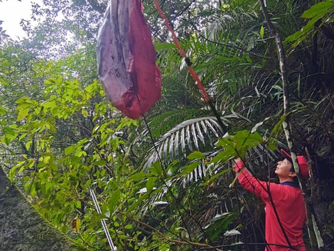 特别邀请知名登山达人吴云天老师担任向导，带领民众深入走访平溪山林秘境，让大家在亲近自然、欣赏美景的同时，也以实际行动守护山林环境。