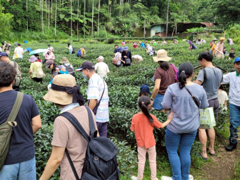 邀請民眾走入新北市茶香山林，在春日暖陽中體驗悠閒的品茗慢生活。