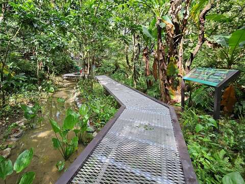 「新北市土城桐花公园景点营造工程」整理既有生态池栖地，建置生态观察栈道，保留生物栖息空间