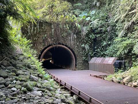 承載百年歷史的「三貂嶺生態友善隧道」，新北市政府採生態友善管理，透過人流控管與低干擾設計，保存了周邊豐富的蕨類與茂密林相，宛如隱身山林的小森林。