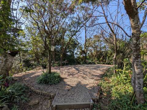 漫步在烘炉地登山步道，沿途林荫茂密、阳光洒落，铺面整洁的休憩平台为山友提供惬意的喘息空间