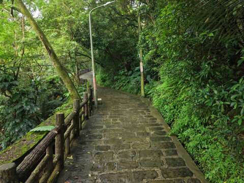 漫步土城朝山步道。古朴石砖、伸手可及的翠绿，最治癒人的芬多精洗礼。