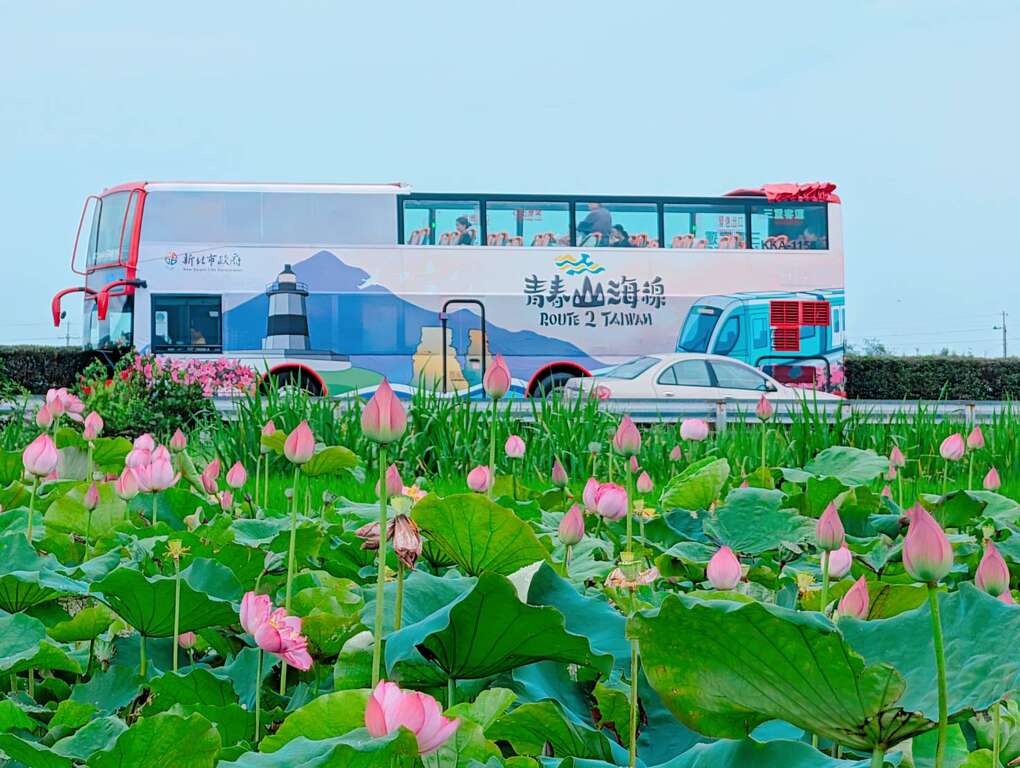 彩绘车身呈现北海岸意象，与盛开的莲花田相映成趣，展现低碳旅游的夏日活力。