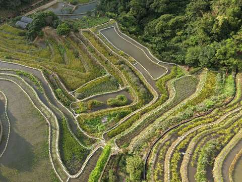 先民以塊石層層堆疊而出百年梯田