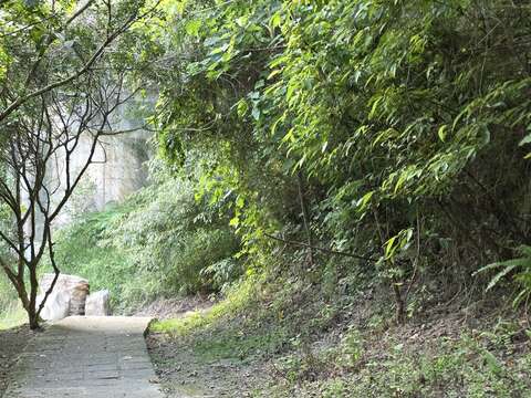 石碇淡蘭古道山林，透過繪畫與聲音，在自然之中展開一段安靜而深刻的感官旅程