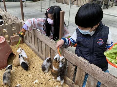推薦到五股環保藝術公園欣賞耶誕燈景之前，白天可先到準休閒農場遊憩，感受不同面向的在地魅力。