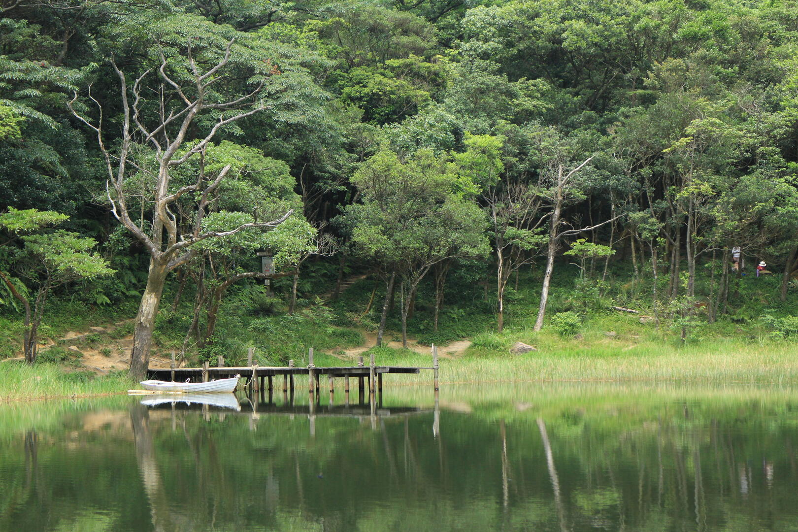 新山夢湖