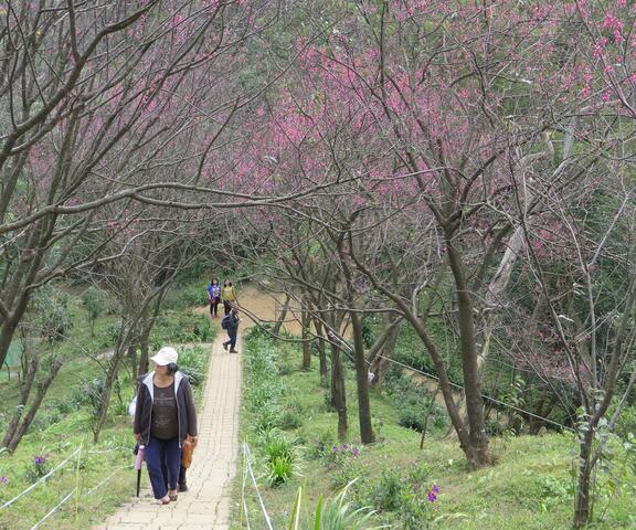 主視覺圖片