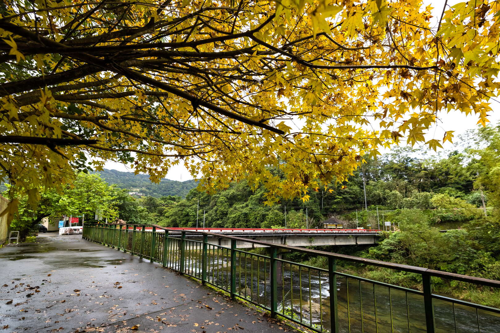 坪林觀魚步道